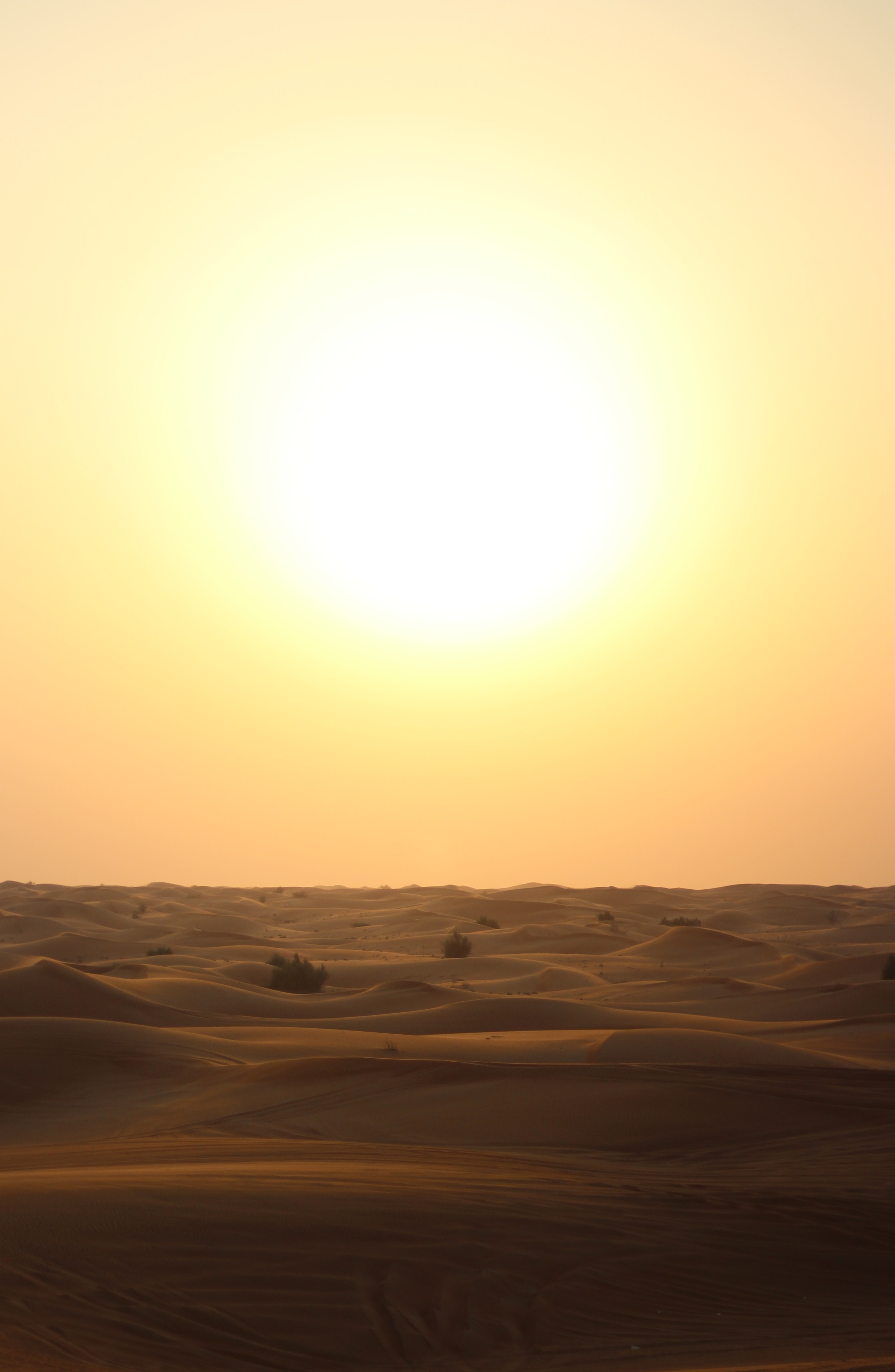 vitaminas D